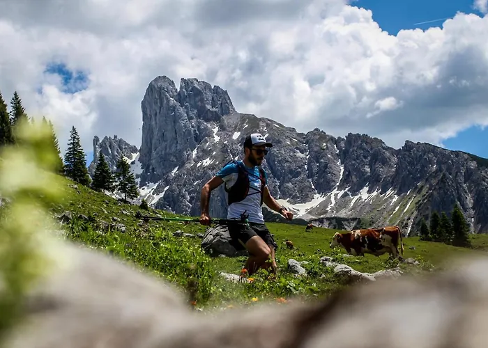 Apartment-kraft شقة