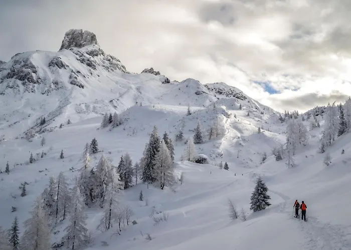 Apartment-kraft * Lungötz